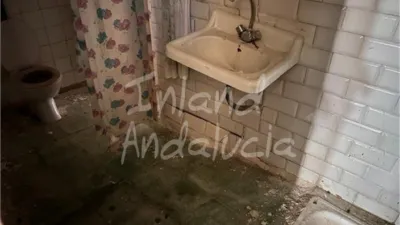 Rustic Finca in Valdepeñas de Jaén photo 15