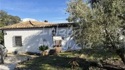 Rustic Finca in Aldea Ermita Nueva photo 3