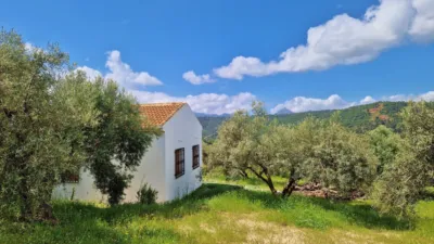 Rustic Finca in Jayena photo 10