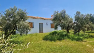 Rustic Finca in Jayena photo 12