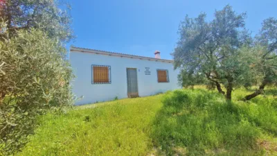 Rustic Finca in Jayena photo 13