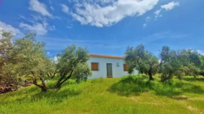 Rustic Finca in Jayena photo 2
