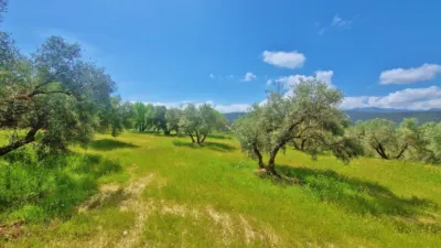 Rustic Finca in Jayena photo 3