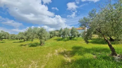 Rustic Finca in Jayena photo 4
