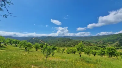 Rustic Finca in Jayena photo 5
