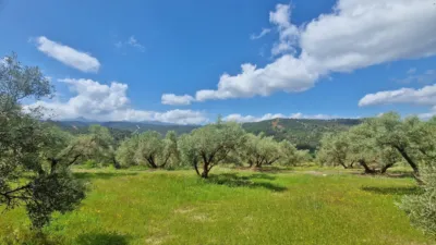 Rustic Finca in Jayena photo 6