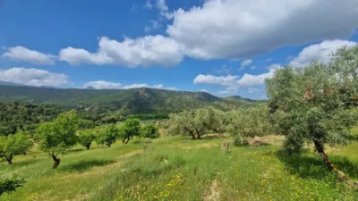 Rustic Finca in Jayena photo 7