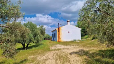 Rustic Finca in Jayena photo 8
