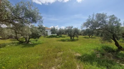 Rustic Finca in Jayena photo 9