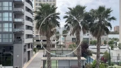 Apartamento en alquiler en Ciutat de Les Arts I de Les Ciències - Imagen 15