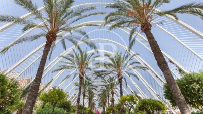 Apartamento en alquiler en Ciutat de Les Arts I de Les Ciències - Imagen 26
