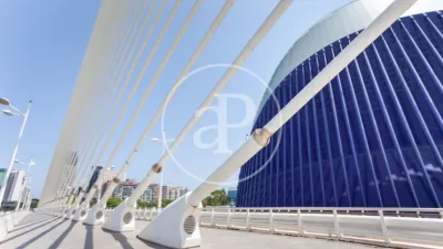 Apartamento en alquiler en Ciutat de Les Arts I de Les Ciències - Imagen 27