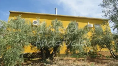 Rustic Finca in Alcaudete photo 16