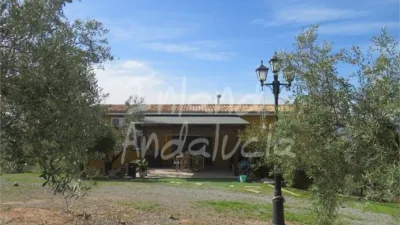Rustic Finca in Alcaudete photo 3