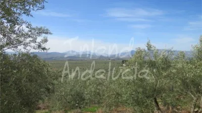Rustic Finca in Alcaudete photo 4