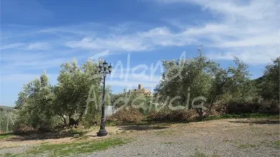 Rustic Finca in Alcaudete photo 5