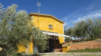 Rustic Finca in Alcaudete photo 7