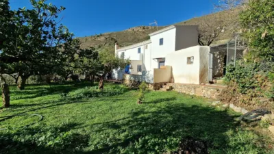 House in Alcaucín photo 11