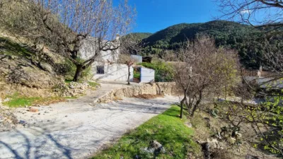 House in Alcaucín photo 37