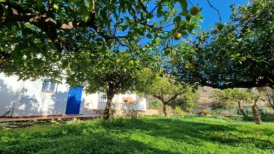 House in Alcaucín photo 4