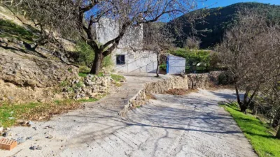 House in Alcaucín photo 6