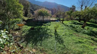 House in Alcaucín photo 7
