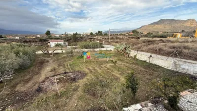 House in Olula del Río photo 39