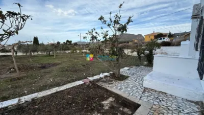 House in Olula del Río photo 45