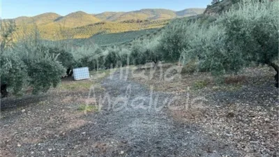 Rustic Finca in El Sabariego photo 12