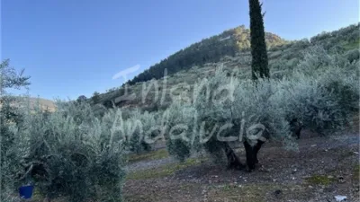 Rustic Finca in El Sabariego photo 13