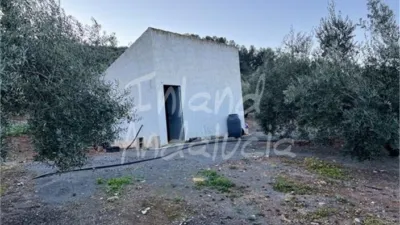 Rustic Finca in El Sabariego photo 3