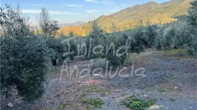 Rustic Finca in El Sabariego photo 5