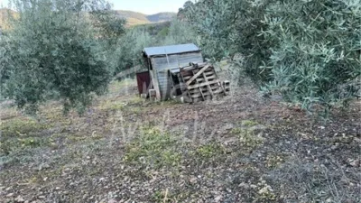 Rustic Finca in El Sabariego photo 6