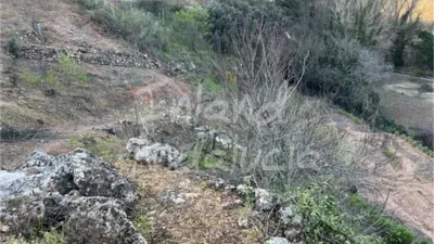 Rustic Finca in El Sabariego photo 7