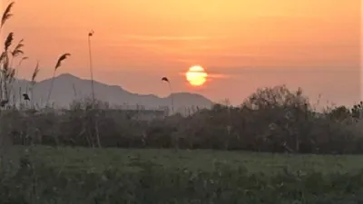 Terreno en venta en Crevillent - Vista 2