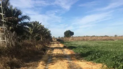 Terreno en venta en Crevillent - Vista 3