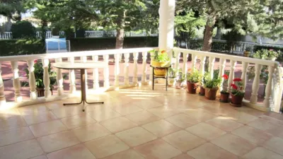 Rustic Finca in Yecla photo 6