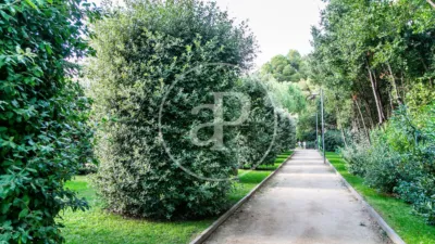 Apartment in Sant Gervasi-Galvany photo 22