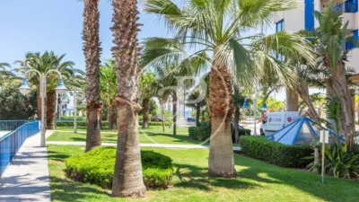 Apartment in Alboraya photo 40