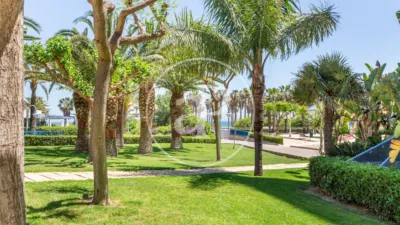 Apartment in Alboraya photo 41