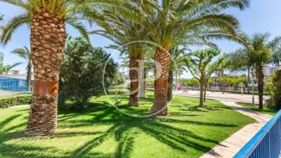 Apartment in Alboraya photo 42