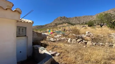 Rustic Finca in Albox photo 36