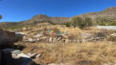 Rustic Finca in Albox photo 37