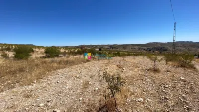 Rustic Finca in Albox photo 39