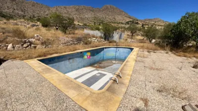 Rustic Finca in Albox photo 3