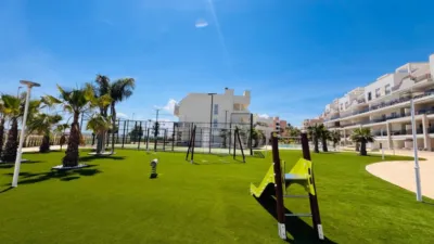 Apartment in Las Viñas photo 9