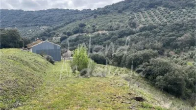 Rustic Finca in Charilla photo 12