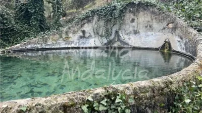 Rustic Finca in Charilla photo 13