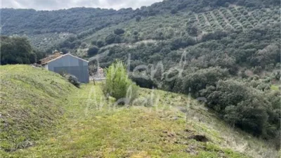 Rustic Finca in Charilla photo 7