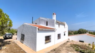 Villa in Novelda photo 4